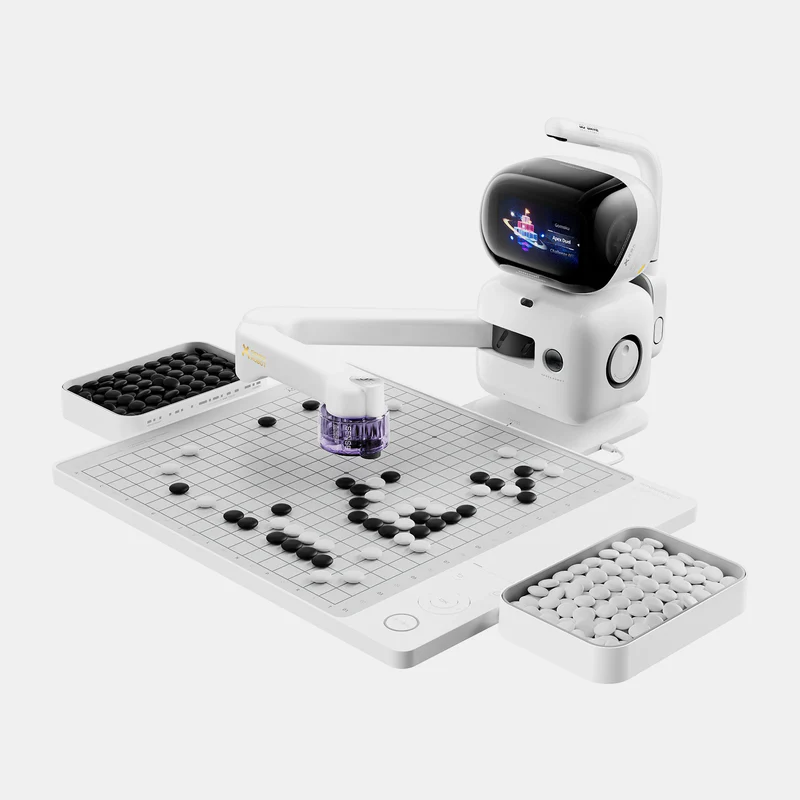 A robotic Go teacher