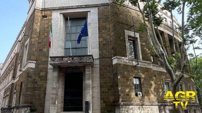 Diffuse ownership: ICA cooks up an alternative model to labor cooperatives in Italy