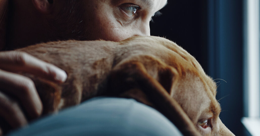 There is no community without a dog, and there's a reason for that.