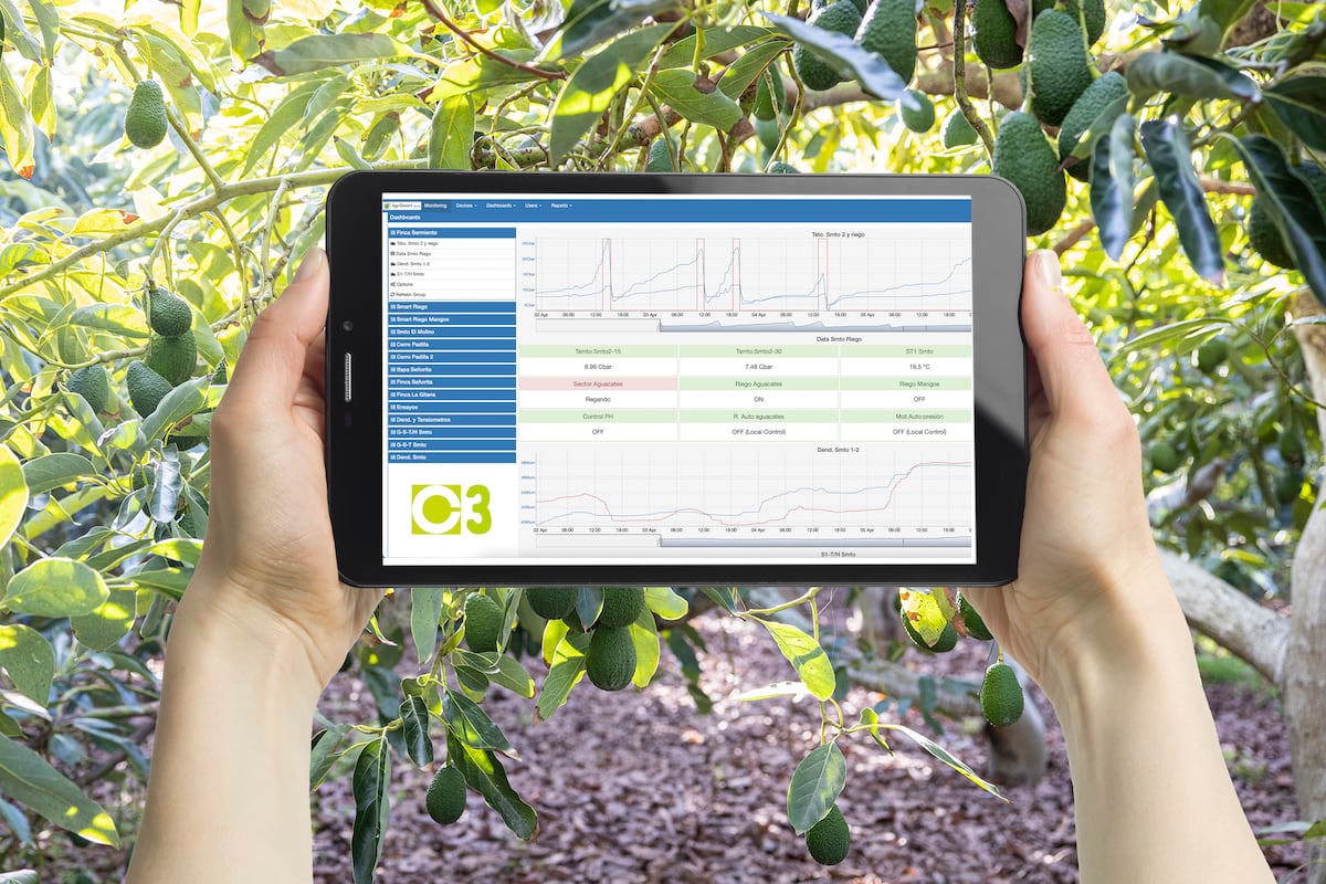 The digitalization of agricultural cooperatives in Spain